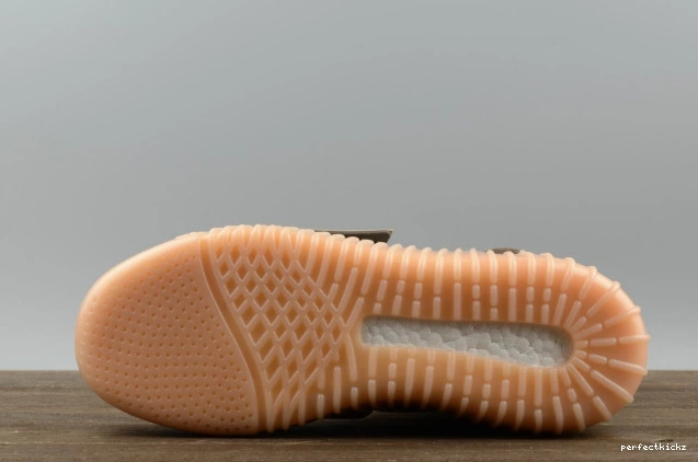 Brown Light BY2456 Boost Yeezy 750 adidas 0727